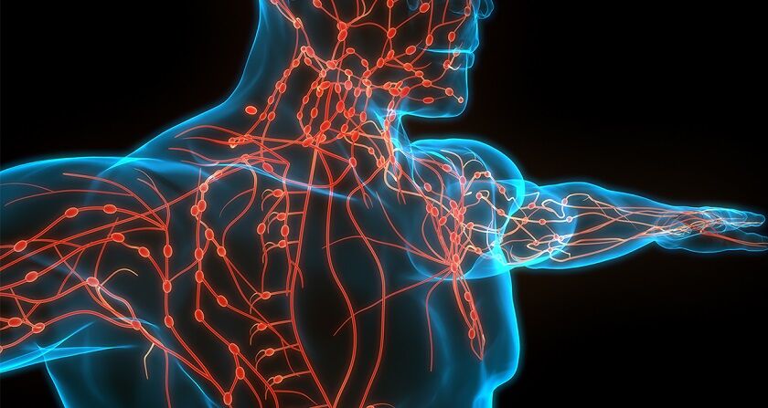 nervous-system-meaning-in-tamil-meancro