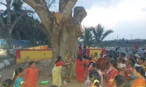 சக்தியா.. அறிவியலா..? சூறைக்காற்றில் சாய்ந்த மரம் தானாக எழுந்து நின்ற அதிசயம்