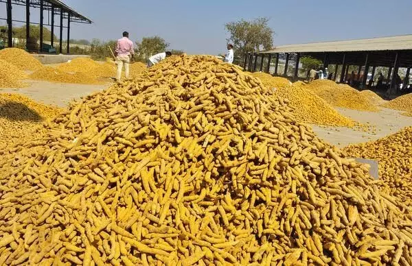 ஈரோடு பெரிய மாரியம்மன் கோவில் திருவிழா; மஞ்சள் ஏலத்துக்கு 9 நாள் விடுமுறை ஈரோடு பெரிய மாரியம்மன் கோவில் திருவிழா; மஞ்சள் ஏலத்துக்கு 9 நாள் விடுமுறை