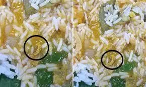 ஆரணி அருகே ஓட்டல் சாப்பாட்டில் புழு: மக்கள் அதிர்ச்சி ஆரணி அருகே ஓட்டல் சாப்பாட்டில் புழு: மக்கள் அதிர்ச்சி