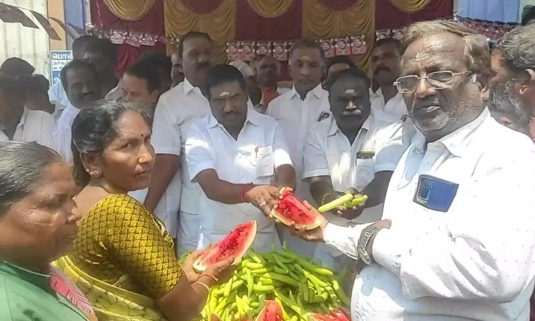 சோழவரம் ஒன்றியத்தில் அதிமுக சார்பில் நீர்,மோர் பந்தல் சோழவரம் ஒன்றியத்தில் அதிமுக சார்பில் நீர்,மோர் பந்தல்