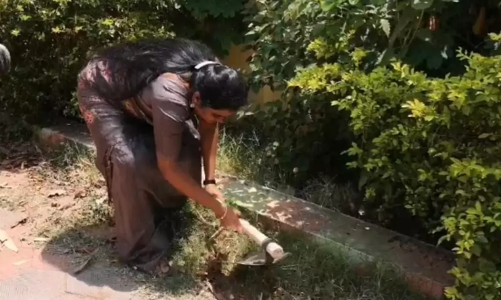 புகார் அளித்தும் பயனில்லை: துடைப்பத்தை கையில் எடுத்தார் பெண் கவுன்சிலர் புகார் அளித்தும் பயனில்லை: துடைப்பத்தை கையில் எடுத்தார் பெண் கவுன்சிலர்