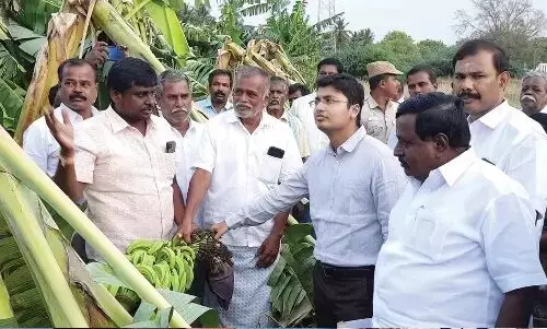 குளங்களில் வண்டல் மண் எடுக்க விவசாயிகளுக்கு அனுமதி: கலெக்டர் கிராந்திகுமார் குளங்களில் வண்டல் மண் எடுக்க விவசாயிகளுக்கு அனுமதி: கலெக்டர் கிராந்திகுமார்