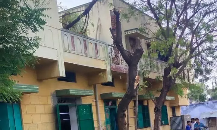 மரங்கள் வெட்டியவர்கள் மீது நடவடிக்கை எடுக்க கோரிக்கை மரங்கள் வெட்டியவர்கள் மீது நடவடிக்கை எடுக்க கோரிக்கை