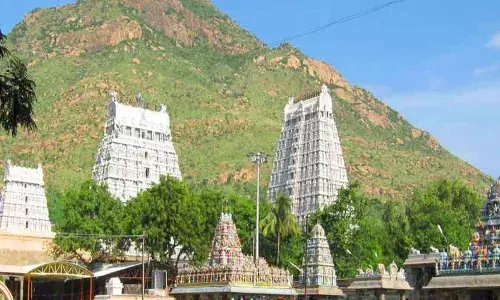 திருவண்ணாமலை கிரிவலம் வர விதிக்கப்பட்ட விதிமுறைகள் தெரியுமா? திருவண்ணாமலை கிரிவலம் வர விதிக்கப்பட்ட விதிமுறைகள் தெரியுமா?