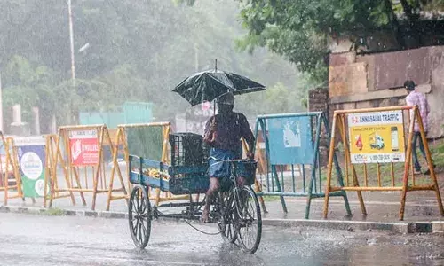 நெல்லையில் கொட்டித்தீர்த்த கனமழை!  விடிய விடிய குளிர்!