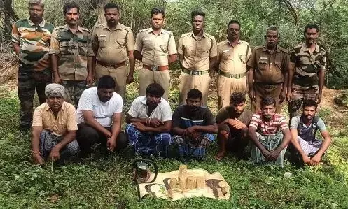 சந்தன மரத்தை வெட்டி கடத்த முயன்றவர்களுக்கு அபராதம் சந்தன மரத்தை வெட்டி கடத்த முயன்றவர்களுக்கு அபராதம்