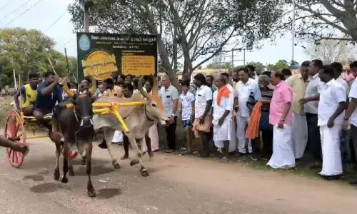 கோவில்பட்டியில் கோவில் விழாவையொட்டி மாட்டு வண்டி எல்கை பந்தய போட்டி கோவில்பட்டியில் கோவில் விழாவையொட்டி மாட்டு வண்டி எல்கை பந்தய போட்டி