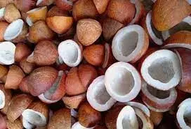 கொப்பரை தேங்காய் கொள்முதல்:கோவை மாவட்ட ஆட்சியரிடம் பொள்ளாச்சி ஜெயராமன் மனு கொப்பரை தேங்காய் கொள்முதல்:கோவை மாவட்ட ஆட்சியரிடம் பொள்ளாச்சி ஜெயராமன் மனு