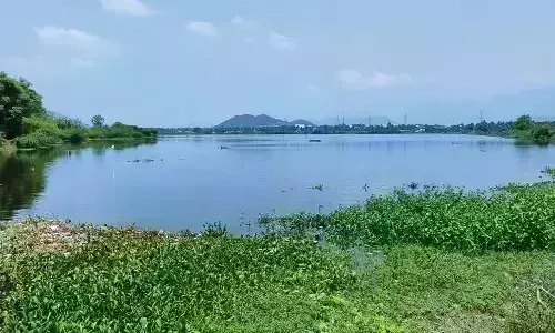 மேட்டுப்பாளையம் பெள்ளாதி குளம் நிரம்பி வழிவதால் மகிழ்ச்சியில் விவசாயிகள் மேட்டுப்பாளையம் பெள்ளாதி குளம் நிரம்பி வழிவதால் மகிழ்ச்சியில் விவசாயிகள்
