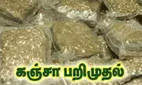 கஞ்சா விற்பனையில் ஈடுபட்ட மூன்று வாலிபர்களை கைது செய்த போலீசார் கஞ்சா விற்பனையில் ஈடுபட்ட மூன்று வாலிபர்களை கைது செய்த போலீசார்