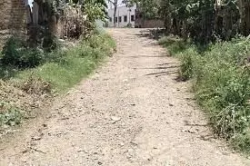சார்... எப்ப ரோடு போடுவீங்க? குண்டும் குழியுமான சாலை பற்றி மக்கள் கேள்வி சார்... எப்ப ரோடு போடுவீங்க? குண்டும் குழியுமான சாலை பற்றி மக்கள் கேள்வி