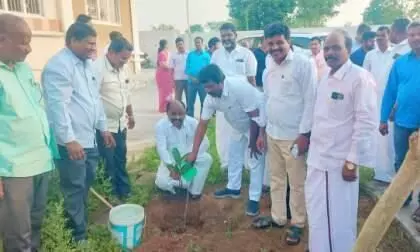 திருவண்ணாமலை மாவட்டத்தில் ஜமாபந்தி நிறைவு திருவண்ணாமலை மாவட்டத்தில் ஜமாபந்தி நிறைவு