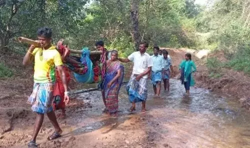 வனத்துறை அனுமதிக்கு பிறகும் சாலை வசதி இல்லாத மலை கிராமம் வனத்துறை அனுமதிக்கு பிறகும் சாலை வசதி இல்லாத மலை கிராமம்