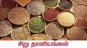 சிறுதானியங்களுக்கு சர்வதேச மார்க்கெட்: கலெக்டர் கிராந்திகுமார் பாடி தகவல் சிறுதானியங்களுக்கு சர்வதேச மார்க்கெட்: கலெக்டர் கிராந்திகுமார் பாடி தகவல்