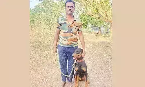 கோவை வன கோட்டத்தில் சமூக விரோதிகளை ஒடுக்க மேலும் ஒரு வேட்டை நாய் கோவை வன கோட்டத்தில் சமூக விரோதிகளை ஒடுக்க மேலும் ஒரு வேட்டை நாய்