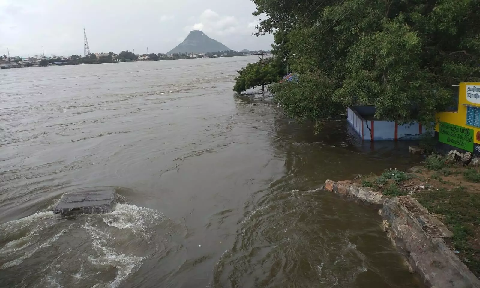 காவிரி கரையோர பகுதியில் தடுப்பு சுவர் அமைக்க கலெக்டரிடம் கோரிக்கை மனு காவிரி கரையோர பகுதியில் தடுப்பு சுவர் அமைக்க கலெக்டரிடம் கோரிக்கை மனு