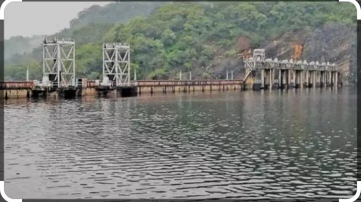 நெல்லை மாவட்டத்தில், அணைகளின் இன்றைய நீர்மட்டம் நெல்லை மாவட்டத்தில், அணைகளின் இன்றைய நீர்மட்டம்