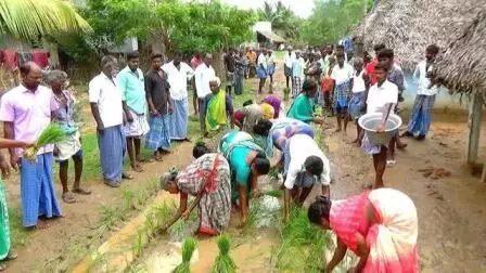 செங்கம் அருகே தேங்கிய மழை நீரில் நாற்று நட்டு பெண்கள் நூதன போராட்டம் செங்கம் அருகே தேங்கிய மழை நீரில் நாற்று நட்டு பெண்கள் நூதன போராட்டம்