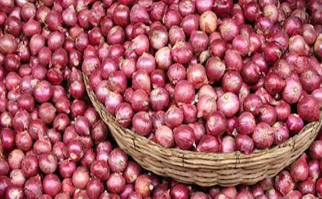 மானிய விலையில் சின்ன வெங்காய விதைகள்; திருப்பூர் விவசாயிகள் கோரிக்கை மானிய விலையில் சின்ன வெங்காய விதைகள்; திருப்பூர் விவசாயிகள் கோரிக்கை