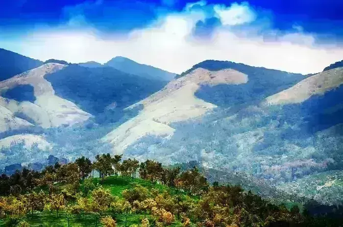 மழைக்கால சுற்றுலா: ஊட்டி, கொடைக்கானல், குன்னூர், வால்பாறை, குற்றாலம் மழைக்கால சுற்றுலா: ஊட்டி, கொடைக்கானல், குன்னூர், வால்பாறை, குற்றாலம்