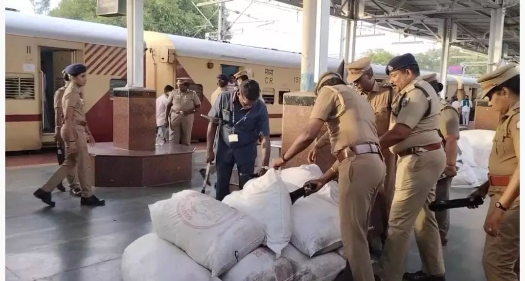 திருச்சி ஜங்ஷன் ரயில் நிலையத்தில் போலீசார் வெடிகுண்டு கண்டறியும் சோதனை திருச்சி ஜங்ஷன் ரயில் நிலையத்தில் போலீசார் வெடிகுண்டு கண்டறியும் சோதனை