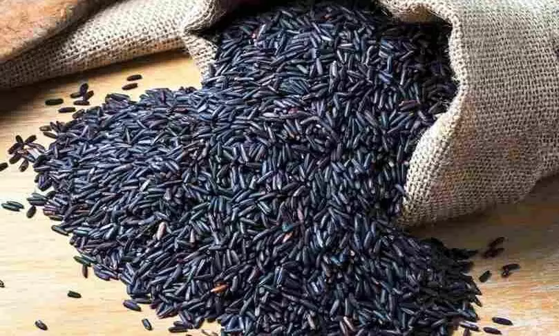 கருப்புதான் எனக்கு பிடிச்ச கலரு கருப்பு கவுனி அரிசியில் சொல்லக்குறையா சத்துகள்..! கருப்புதான் எனக்கு பிடிச்ச கலரு கருப்பு கவுனி அரிசியில் சொல்லக்குறையா சத்துகள்..!