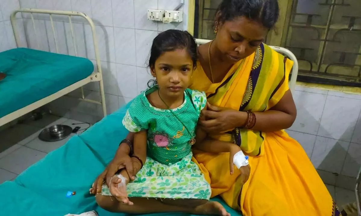 வெறிநாய் கடித்து 10க்கும் மேற்பட்டோர் காயம்..! வெறிநாய் கடித்து 10க்கும் மேற்பட்டோர் காயம்..!