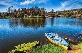 கொடைக்கானல் போகாதீங்க ! ஏமாந்துட போறீங்க! கொடைக்கானல் போகாதீங்க ! ஏமாந்துட போறீங்க!