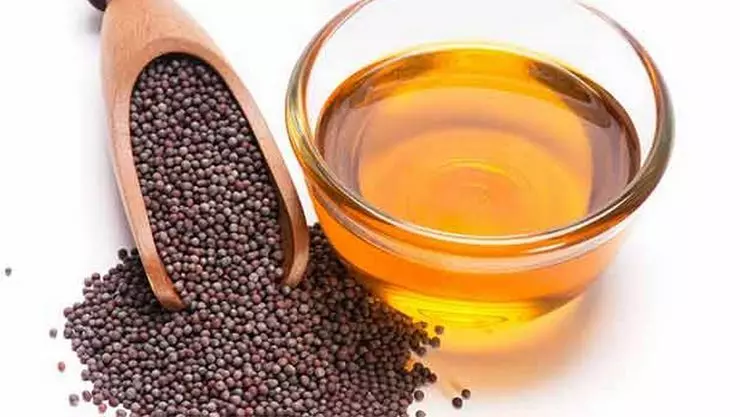 Mustard oil in tamil- சமையலில், கடுகு எண்ணெய் பயன்படுத்தினால் இவ்வளவு ஆரோக்கிய நன்மைகளா? Mustard oil in tamil- சமையலில், கடுகு எண்ணெய் பயன்படுத்தினால் இவ்வளவு ஆரோக்கிய நன்மைகளா?