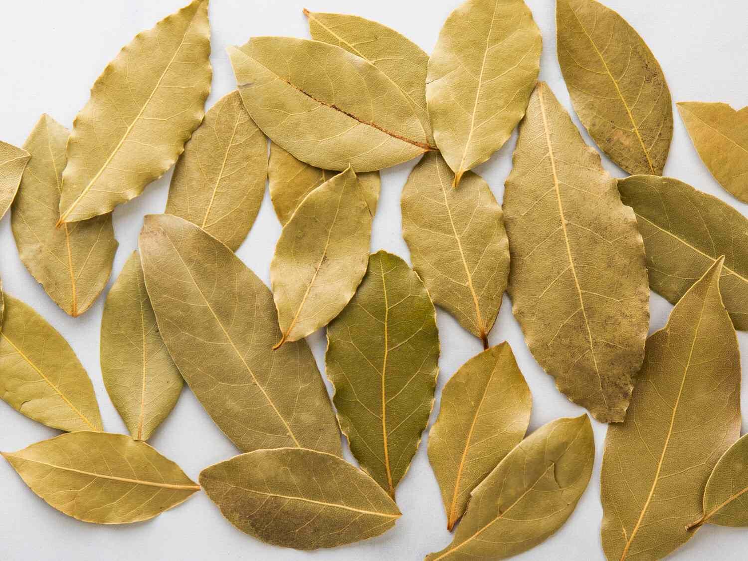 bay leaf in tamil