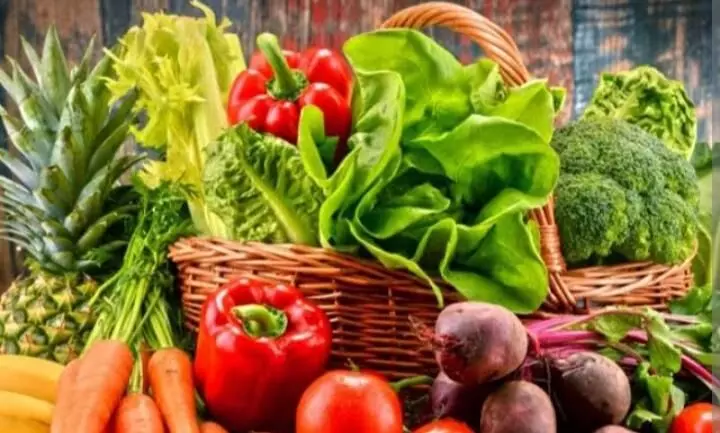 நெல்லை மாவட்ட இன்றைய காய்கறி விலை நிலவரம் நெல்லை மாவட்ட இன்றைய காய்கறி விலை நிலவரம்
