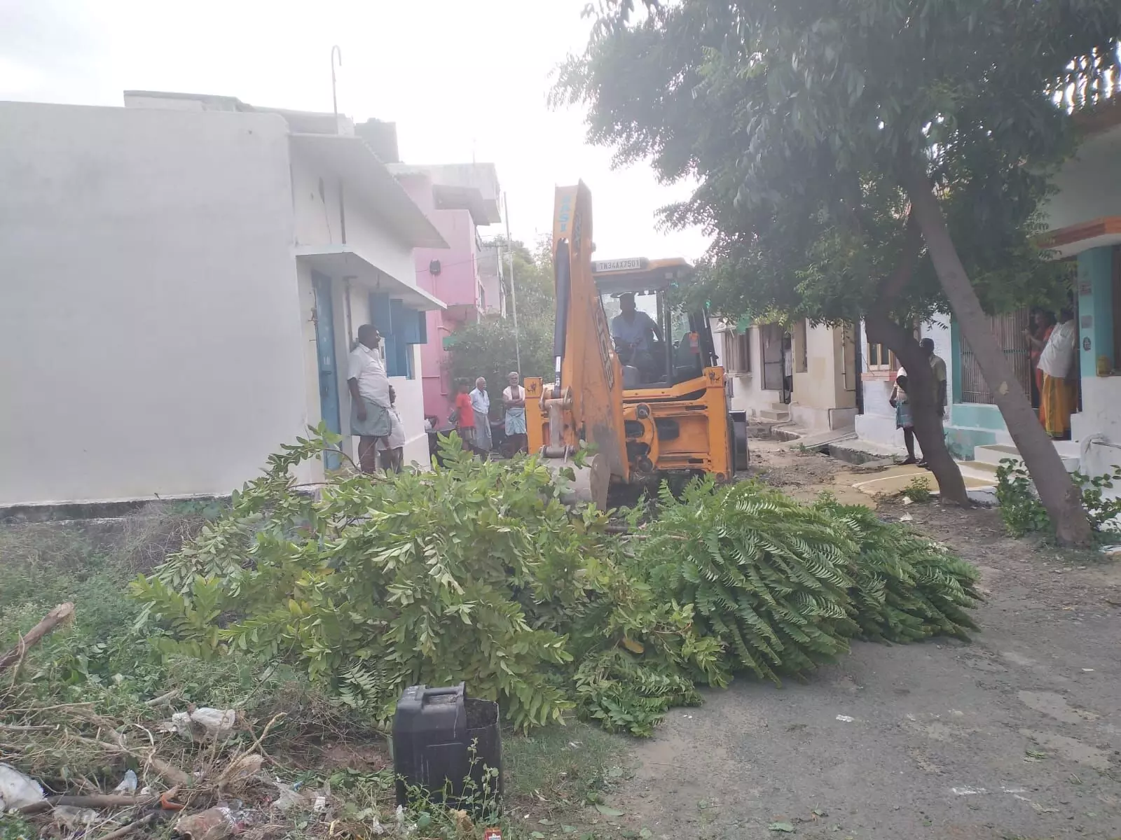 குமாரபாளையத்தில் புதிய சாலை, வடிகால் அமைக்க அகற்றப்பட்ட மரங்கள் குமாரபாளையத்தில் புதிய சாலை, வடிகால் அமைக்க அகற்றப்பட்ட மரங்கள்