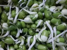 mulaikattiya payaru முளைகட்டிய பயறு வகைகளில் உள்ள ஊட்டச்சத்துகள் பற்றி தெரிஞ்சுக்கங்க.... mulaikattiya payaru முளைகட்டிய பயறு வகைகளில் உள்ள ஊட்டச்சத்துகள் பற்றி தெரிஞ்சுக்கங்க....
