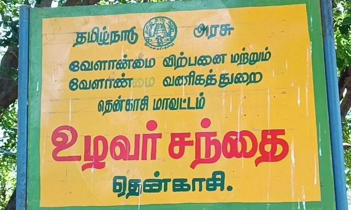 தென்காசி மாவட்ட இன்றைய காய்கறி விலை நிலவரம் தென்காசி மாவட்ட இன்றைய காய்கறி விலை நிலவரம்