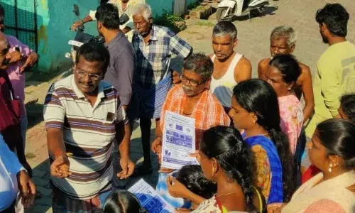 திண்டுக்கல்  மாநகராட்சியில்  டெங்கு கொசு ஒழிப்பு முகாம் திண்டுக்கல்  மாநகராட்சியில்  டெங்கு கொசு ஒழிப்பு முகாம்