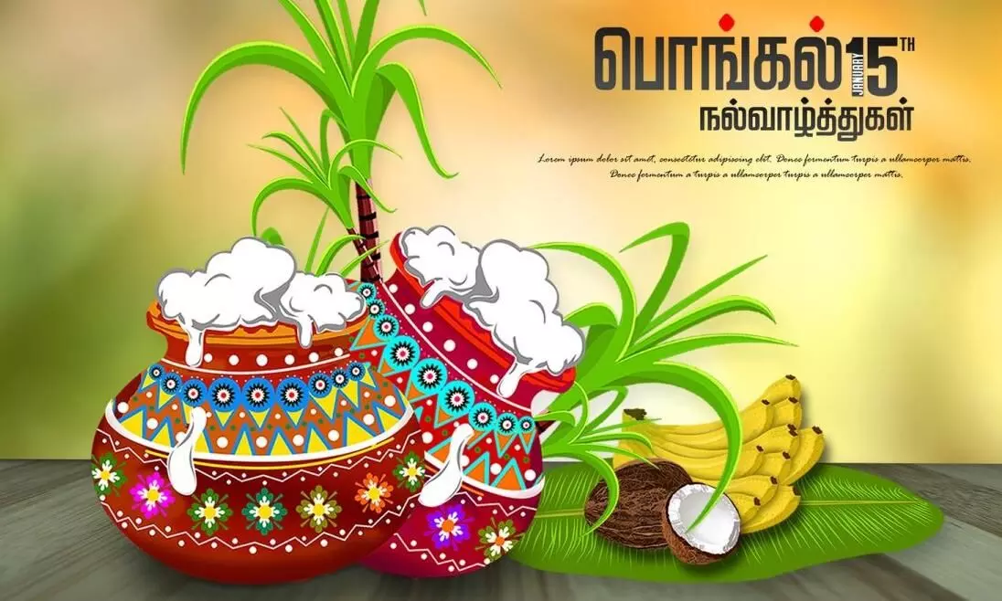 தித்திக்கும் பொங்கல் திருநாளின் வாழ்த்து போஸ்டர்கள்..! தித்திக்கும் பொங்கல் திருநாளின் வாழ்த்து போஸ்டர்கள்..!
