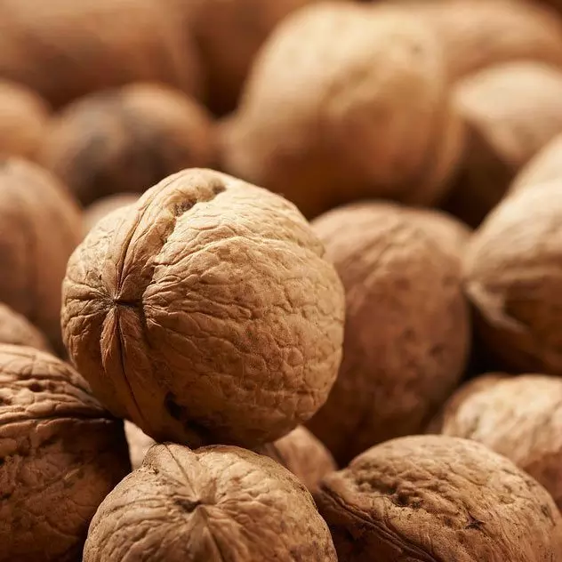 walnut Tamil Name நன்மைகளை வாரி வழங்கும் வால்நட் எனப்படும் வாதுமைக்கொட்டை walnut Tamil Name நன்மைகளை வாரி வழங்கும் வால்நட் எனப்படும் வாதுமைக்கொட்டை