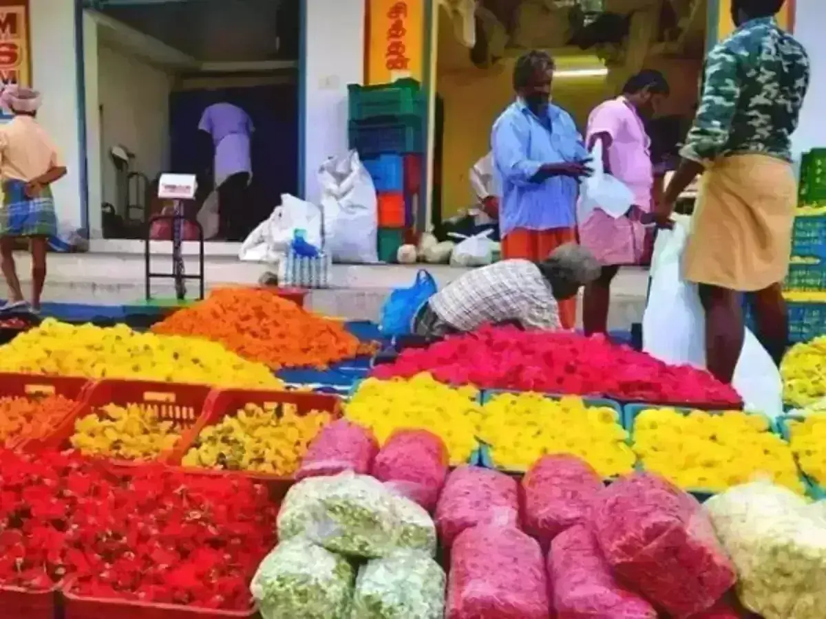 1 கிலோ மல்லி எவ்வளவு ரூபாய் தெரியுமா? கிடுகிடுவென உயர்ந்த பூக்கள் விலை! 1 கிலோ மல்லி எவ்வளவு ரூபாய் தெரியுமா? கிடுகிடுவென உயர்ந்த பூக்கள் விலை!