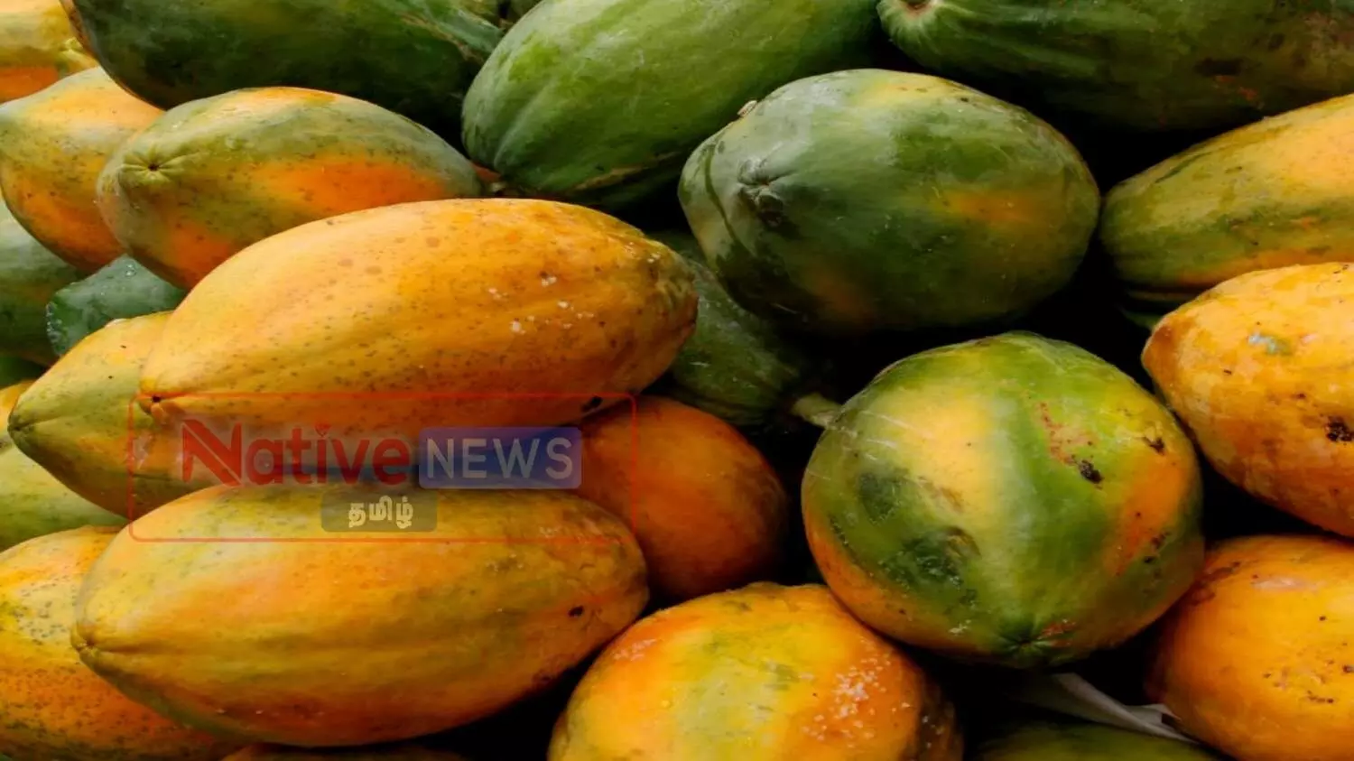 3,000 கிலோ பப்பாளி பழம் தேவை: ஈரோடு அவல்பூந்துறை விற்பனை கூடம் அறிவிப்பு 3,000 கிலோ பப்பாளி பழம் தேவை: ஈரோடு அவல்பூந்துறை விற்பனை கூடம் அறிவிப்பு