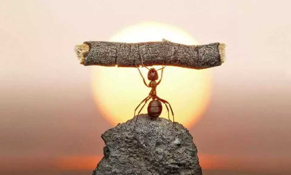 Hard Work Tamil-உலகை இயக்கும் அச்சாணி, உழைப்பு..! உழைப்பில்லையேல் உலகில்லை..! Hard Work Tamil-உலகை இயக்கும் அச்சாணி, உழைப்பு..! உழைப்பில்லையேல் உலகில்லை..!