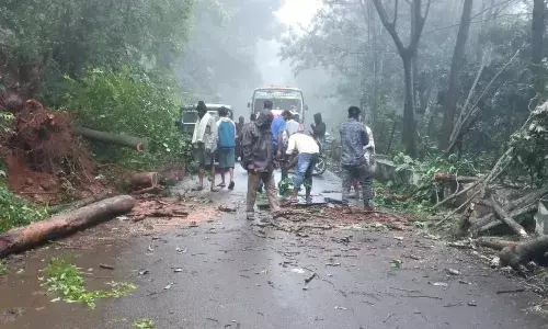 கொடைக்கானல் பகுதியில் பலத்த மழை கொடைக்கானல் பகுதியில் பலத்த மழை