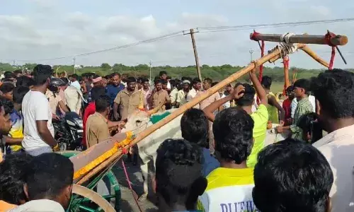 கோவில்பட்டியில் மாட்டு வண்டி போட்டி: விபத்தில் சிக்கிய பந்தய வீரர்கள் கோவில்பட்டியில் மாட்டு வண்டி போட்டி: விபத்தில் சிக்கிய பந்தய வீரர்கள்