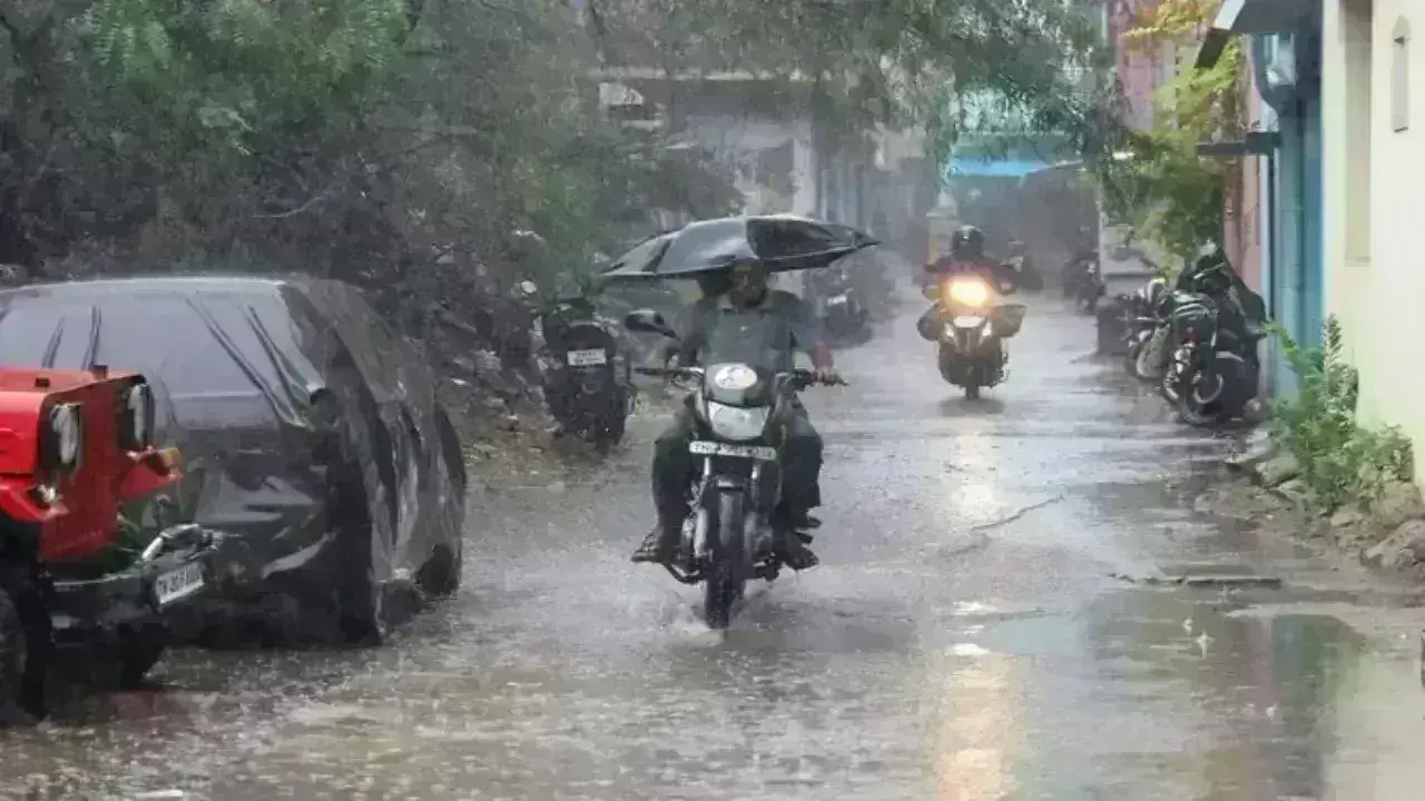8 மாவட்டங்களில் பள்ளி, கல்லூரிகளுக்கு இன்று விடுமுறை 8 மாவட்டங்களில் பள்ளி, கல்லூரிகளுக்கு இன்று விடுமுறை