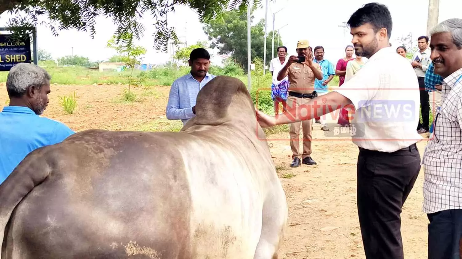 Collector Inspected At Research Centre காங்கேயம் மாட்டின ஆராய்ச்சி நிலையத்தில் ஈரோடு ஆட்சியர் ஆய்வு Collector Inspected At Research Centre காங்கேயம் மாட்டின ஆராய்ச்சி நிலையத்தில் ஈரோடு ஆட்சியர் ஆய்வு