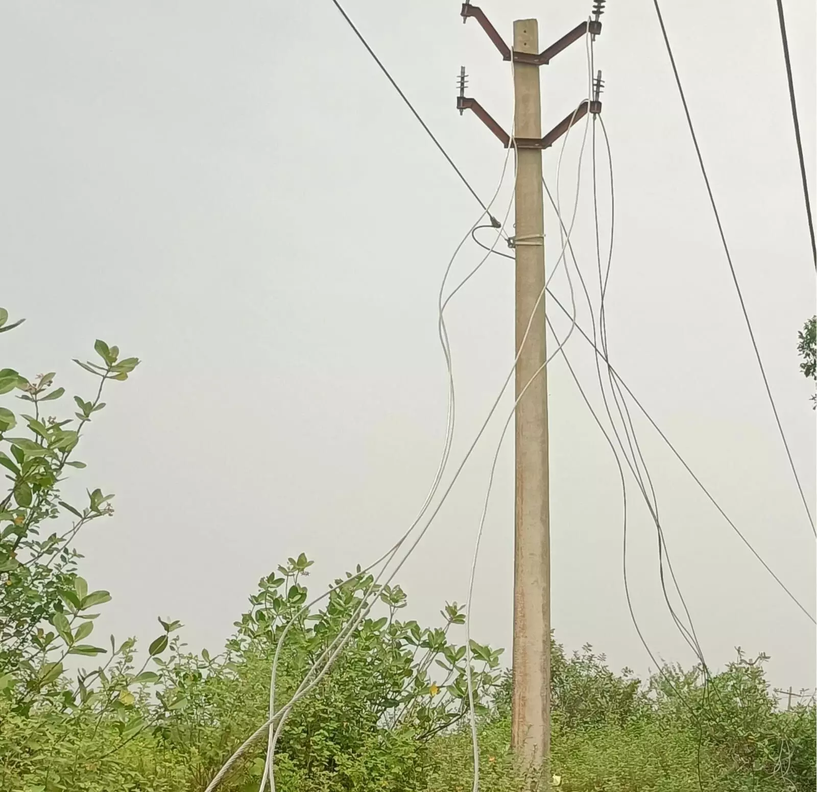 Public Request Change EB Damaged Wire உயிர்ப்பலி ஏற்படும் முன் விழிப்பார்களா மின்வாரிய அதிகாரிகள்:பொதுமக்கள் கோரிக்கை Public Request Change EB Damaged Wire உயிர்ப்பலி ஏற்படும் முன் விழிப்பார்களா மின்வாரிய அதிகாரிகள்:பொதுமக்கள் கோரிக்கை