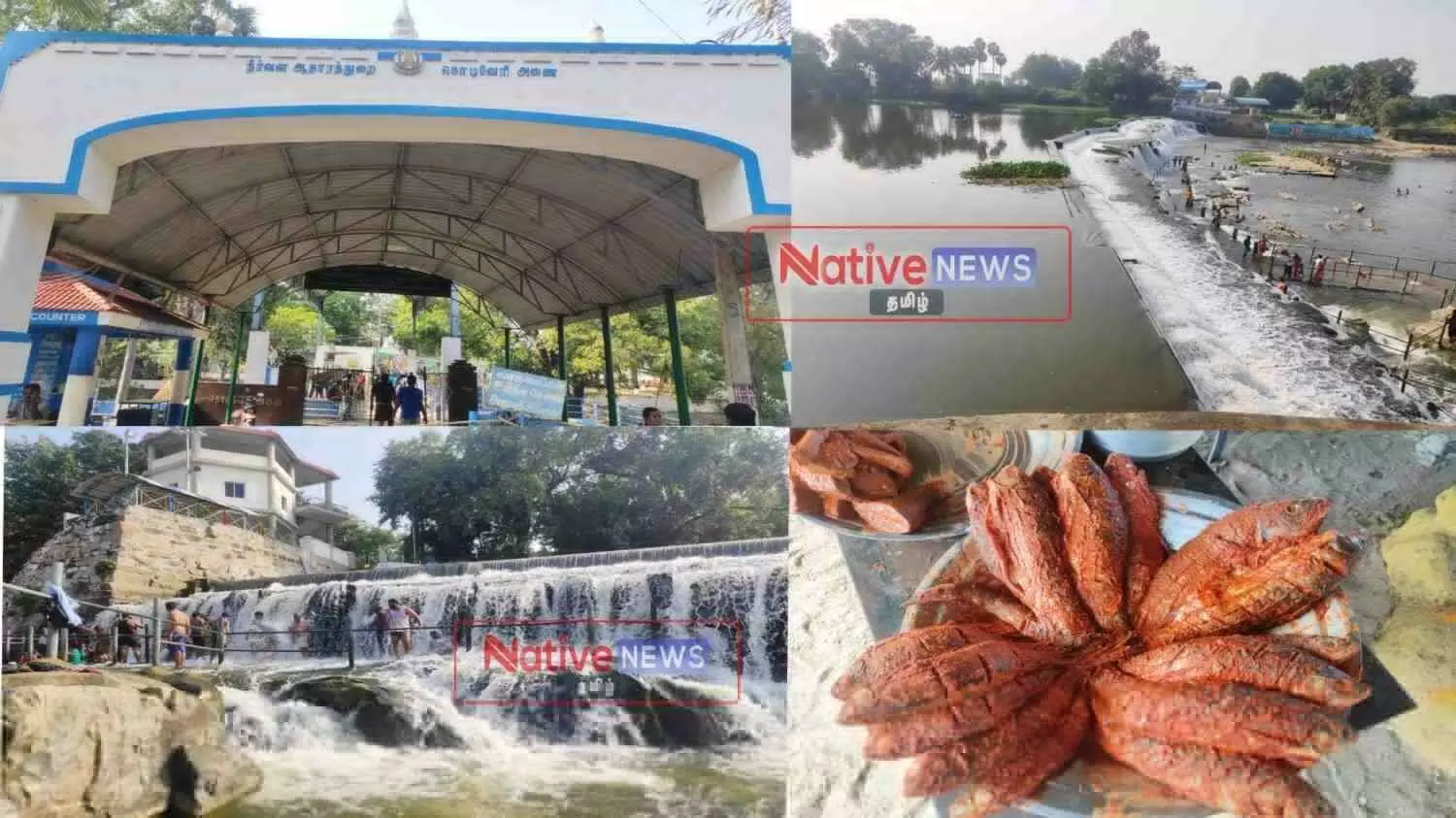 குளிக்க ருசிக்க; கொடிவேரி அணை சுற்றுலாத்தலம் - சிறப்பு தொகுப்பு குளிக்க ருசிக்க; கொடிவேரி அணை சுற்றுலாத்தலம் - சிறப்பு தொகுப்பு