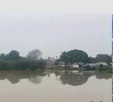கோவையில் 28 ஆண்டுகளுக்கு பிறகு நிரம்பிய காலிங்கராயன் குளம் கோவையில் 28 ஆண்டுகளுக்கு பிறகு நிரம்பிய காலிங்கராயன் குளம்
