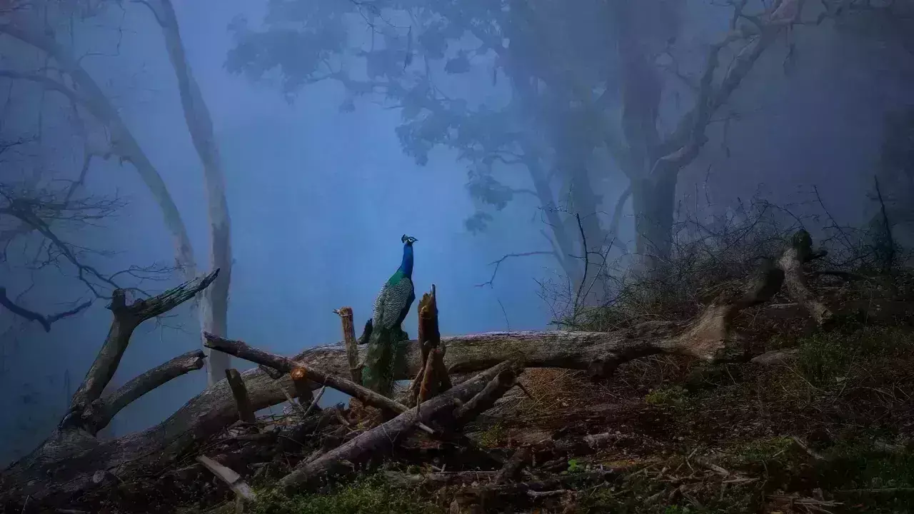 தமிழ்நாட்டில் நிலையான சுற்றுலா தமிழ்நாட்டில் நிலையான சுற்றுலா