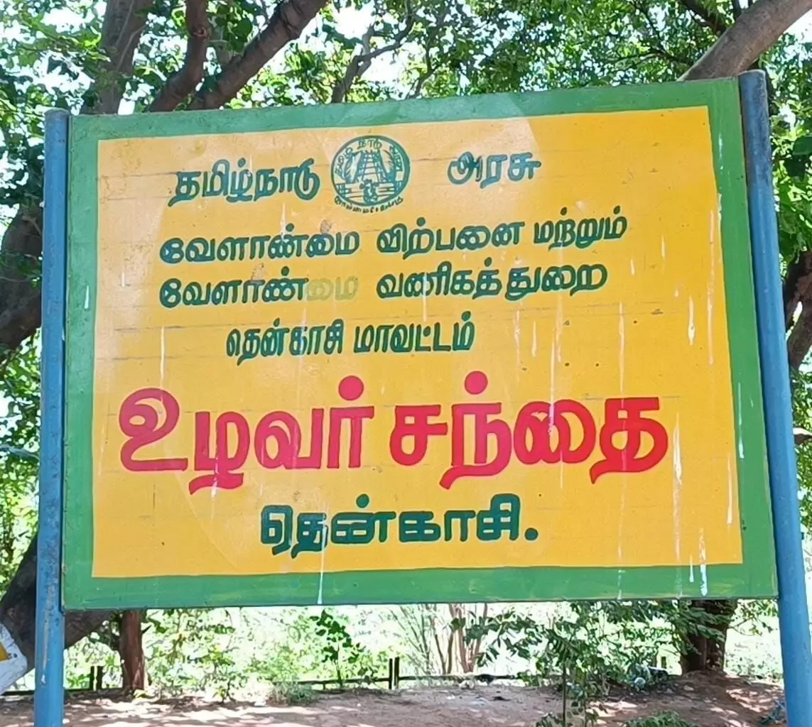 தென்காசி மாவட்டத்தில் இன்றைய காய்கறி விலை தென்காசி மாவட்டத்தில் இன்றைய காய்கறி விலை